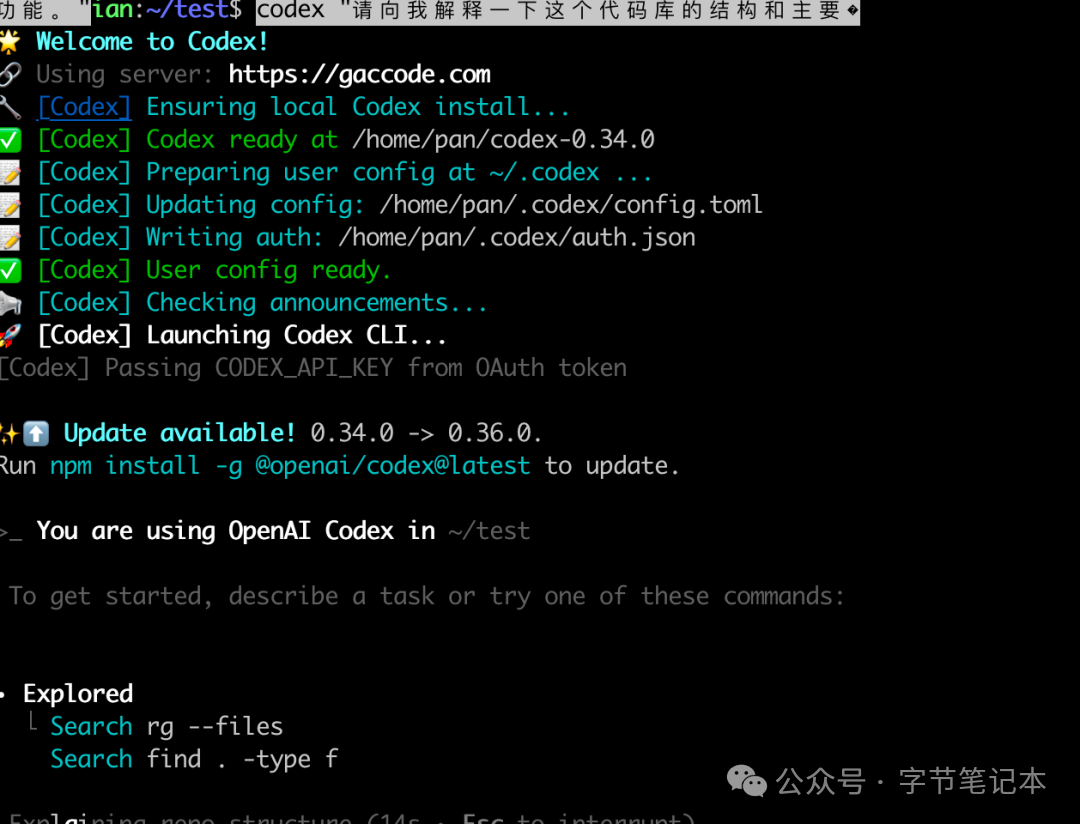 Codex CLI 交互界面