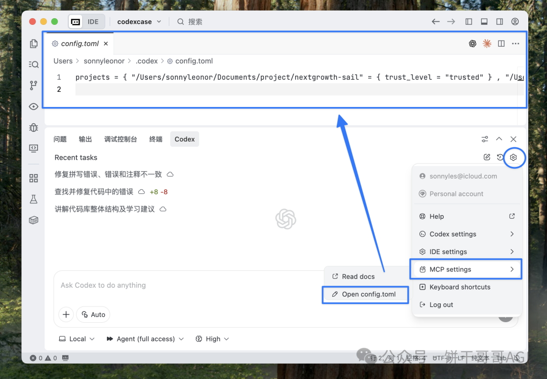 MCP 配置入口