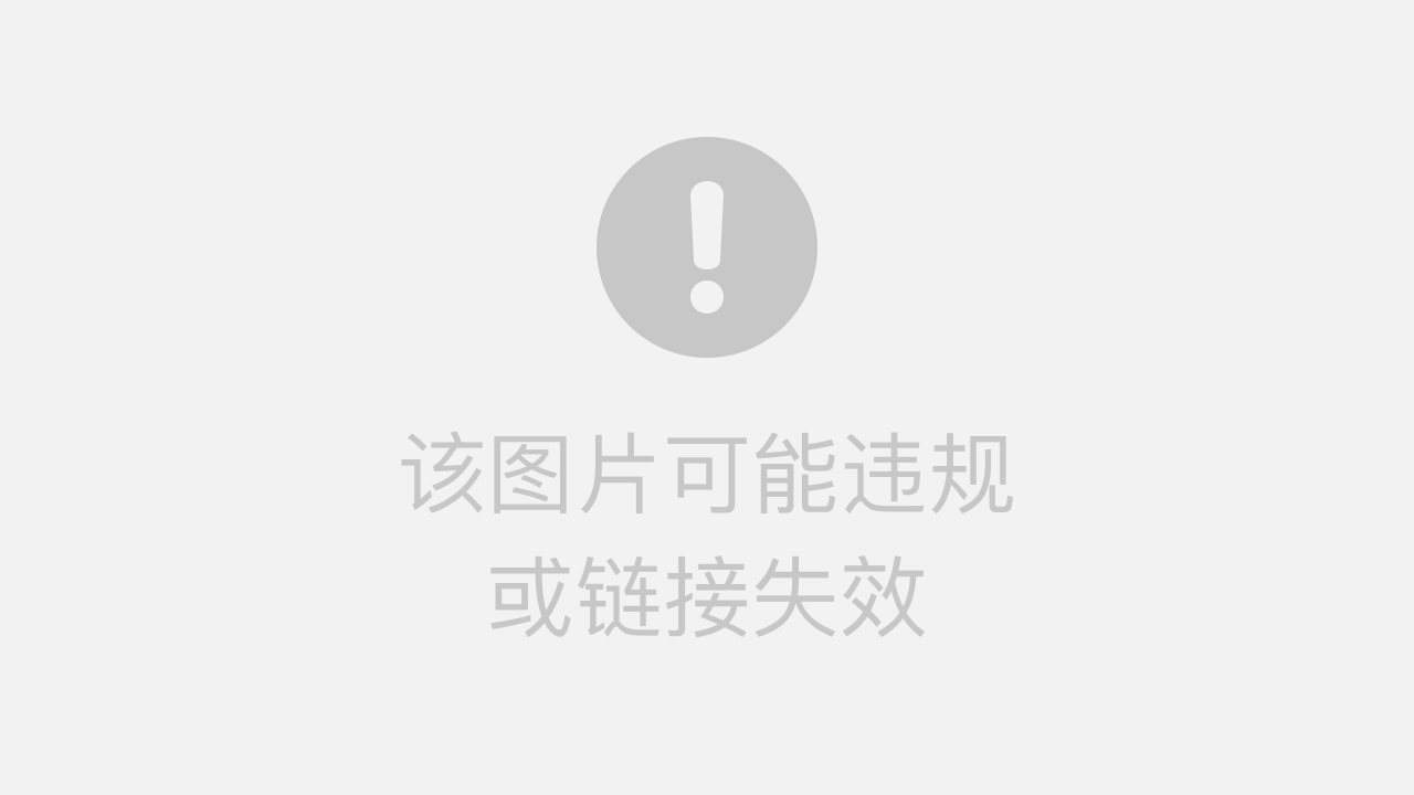 国内使用 Gemini 二维码