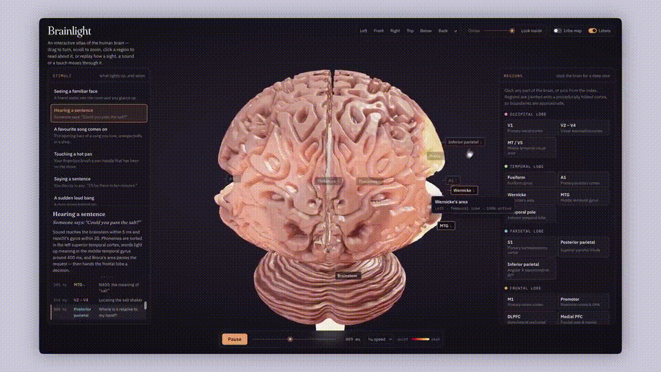 交互式 3D 人脑神经传导模型
