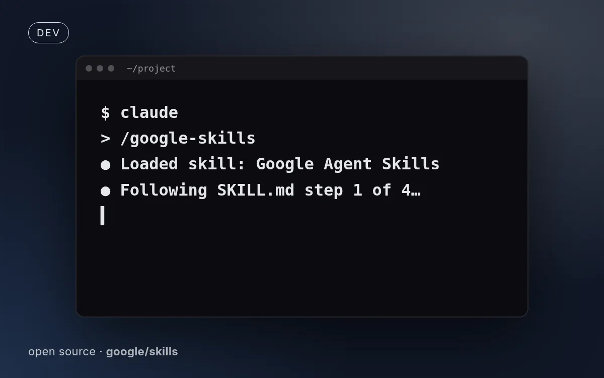Google Agent Skills